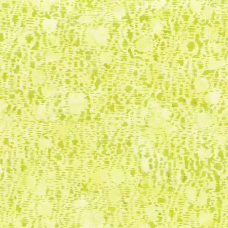 2227Q-X Lime Dashed Circles Batik