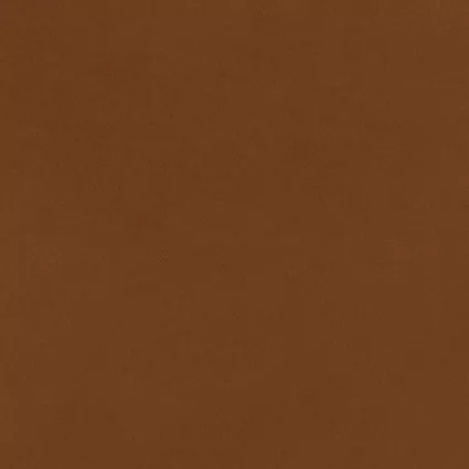 90" Wide Cuddle 3 Solids Ginger