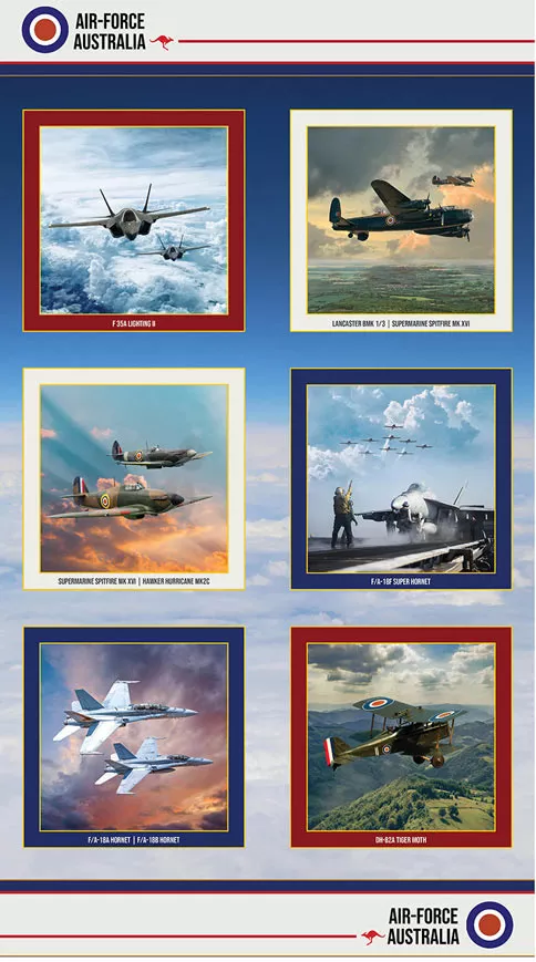 air-force-centenary-panel-b Air-Force Centenary Panel (B)