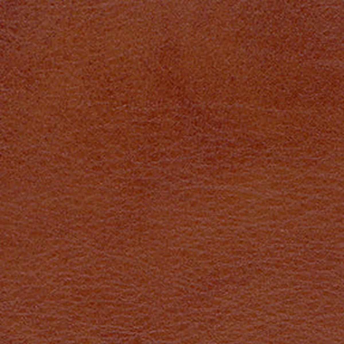 Allegro ALG 7065 Old Whiskey Fabric