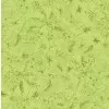 aloha-texture-kiwi Aloha Texture Kiwi