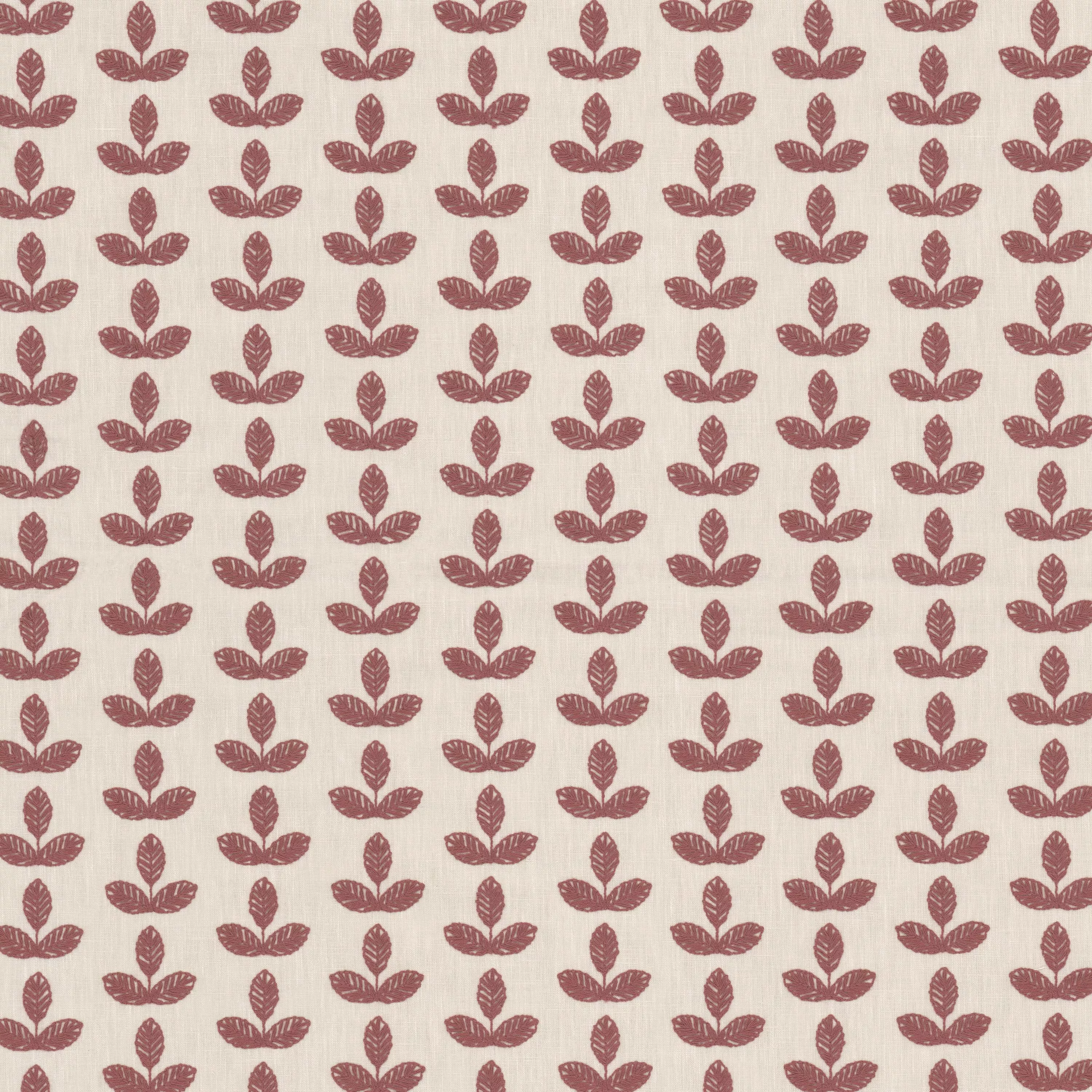 BISON 1 RASPBERRY