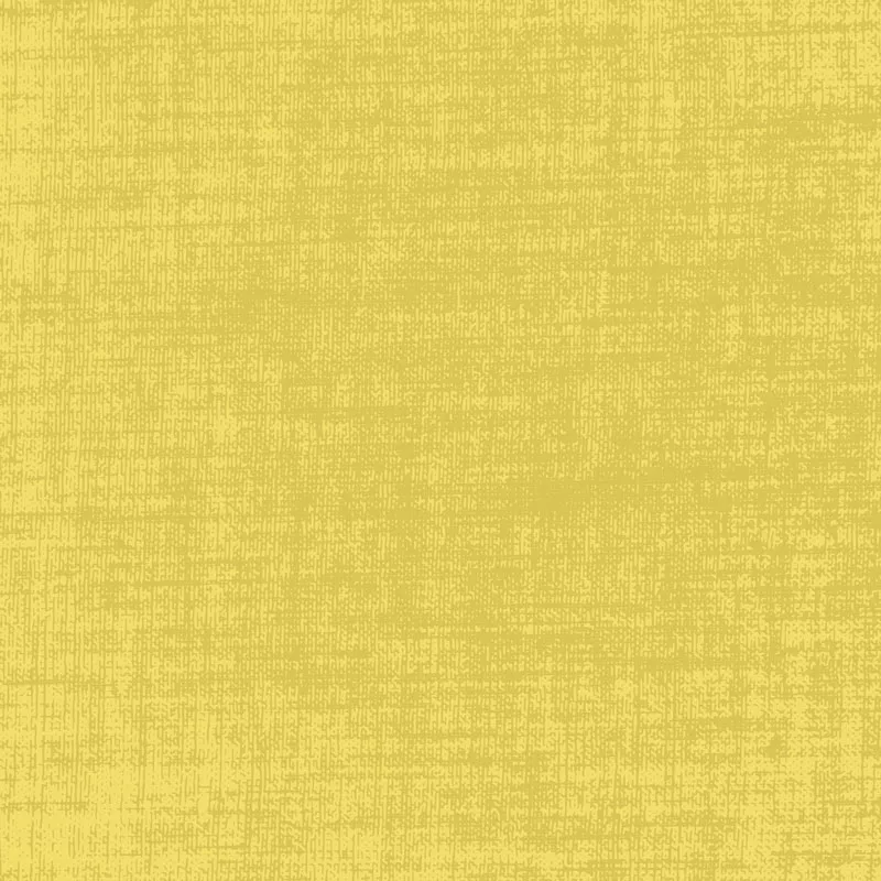 Building Block Basics Texture – DV2229