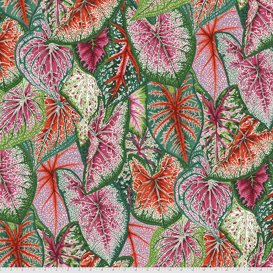Caladiums - Bright