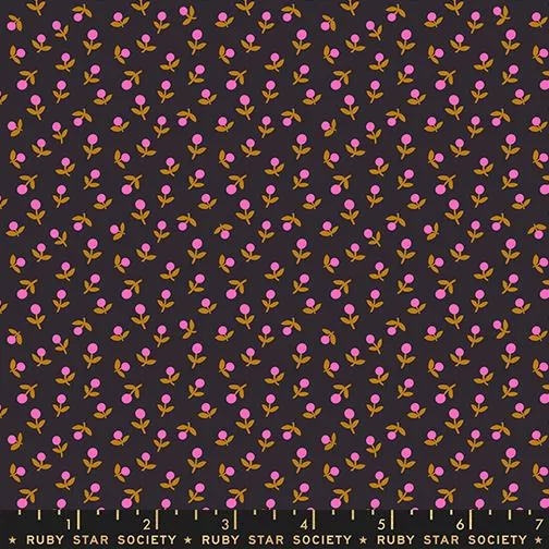 Catnap Payful Black RS4103 21 Ruby Star