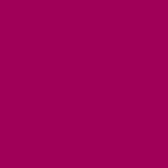 Century Solids CS-10-RASPBERRY