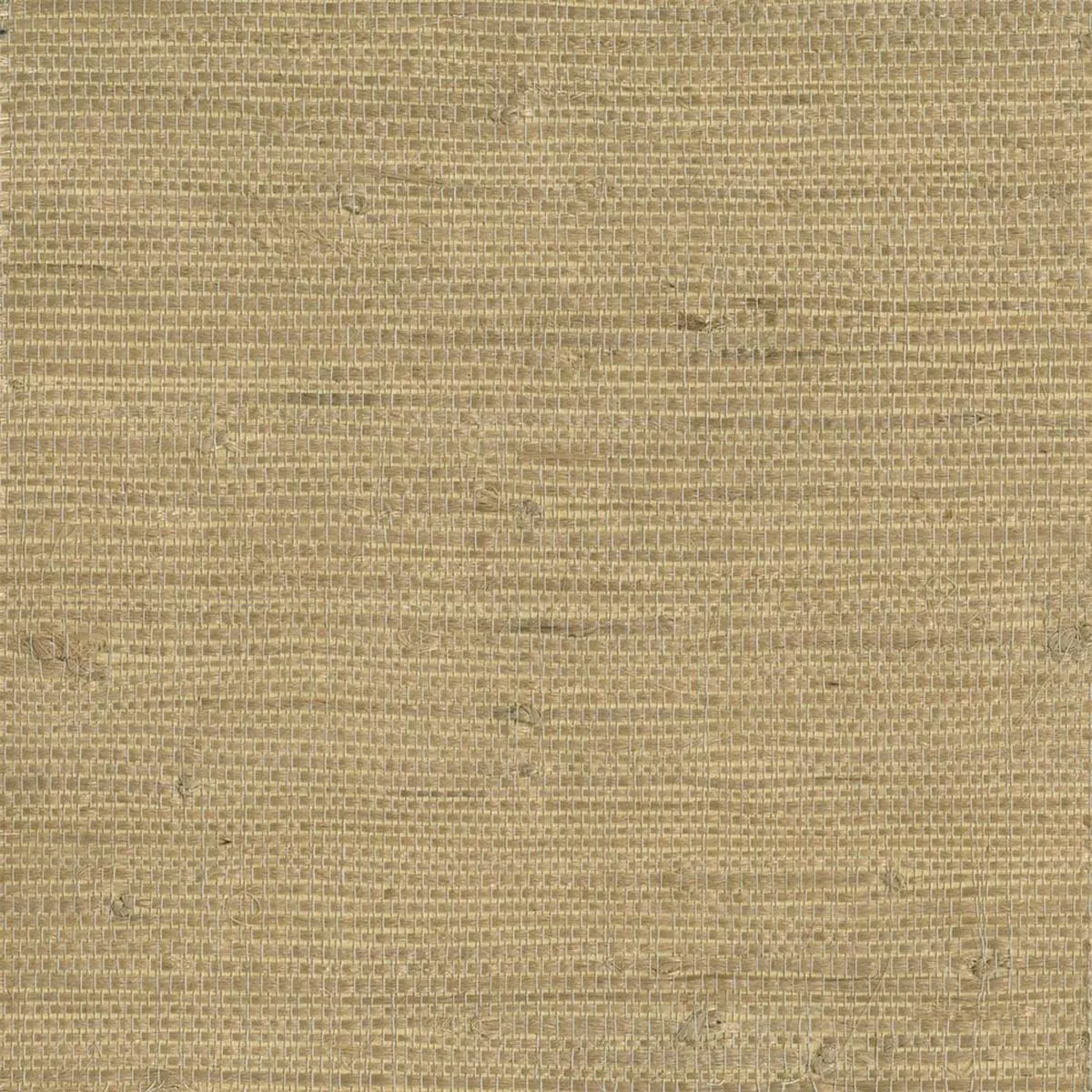 chuso-wheat-grasscloth-wallpaper Chuso Wheat Grasscloth Wallpaper