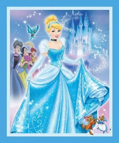 Cinderella Panel