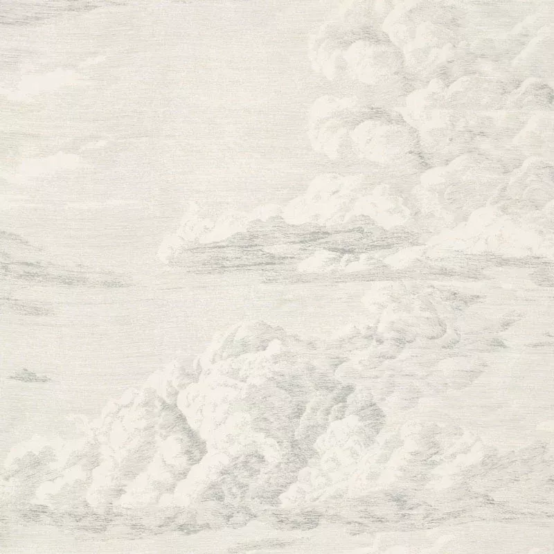 CLOUD TOILE DELFT