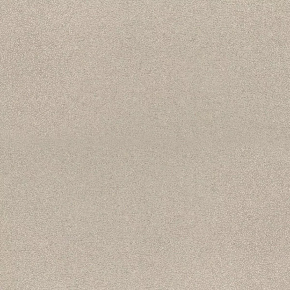 Concave Natural Richloom Fabric
