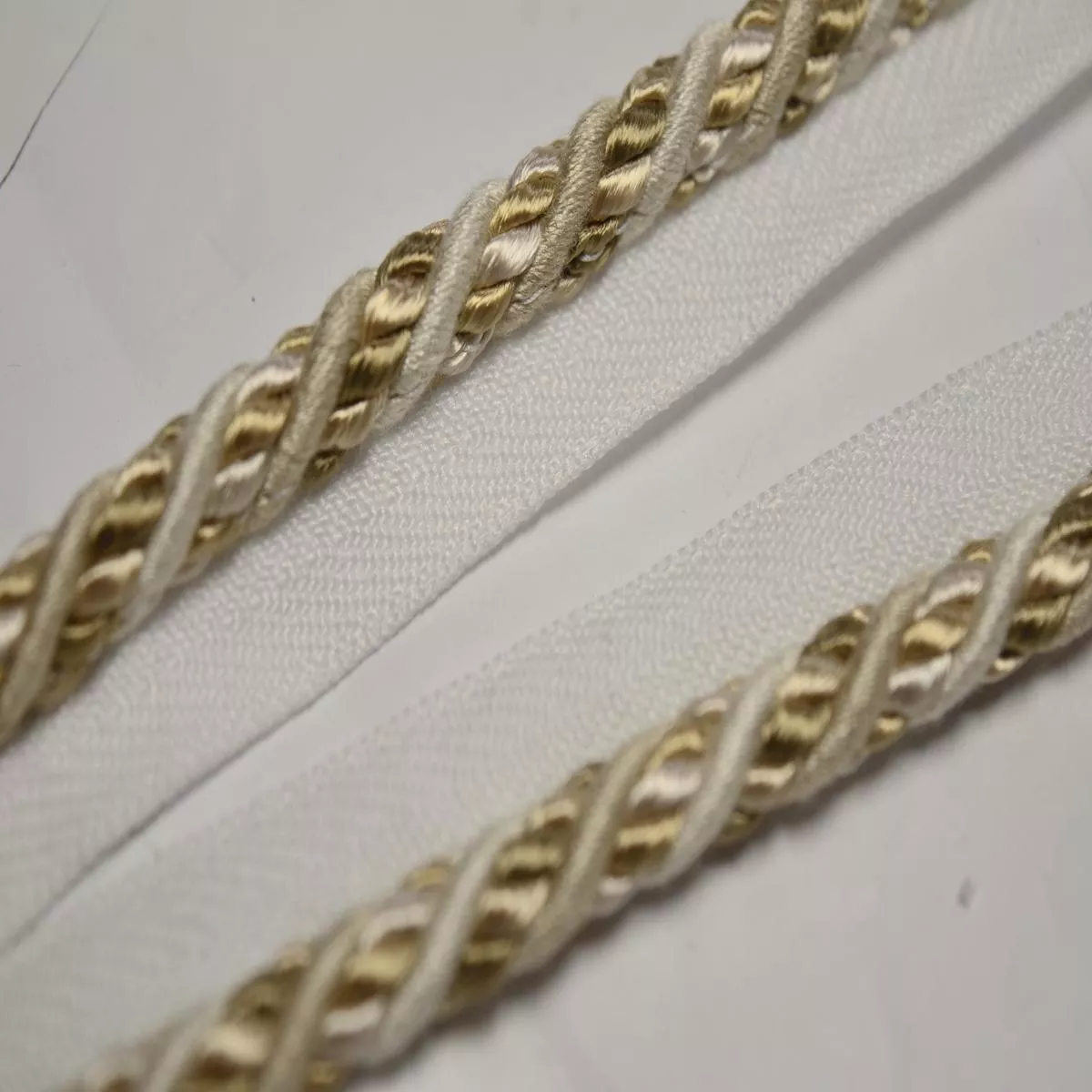 CS310/157 Classical Elements Lip Cord Trim