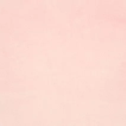 Cuddle Solid - Shell PinkShannon Fabrics 60in C3-SHE
