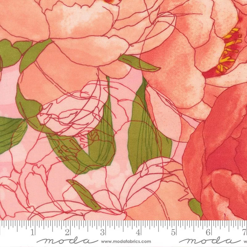 Darling Peony Cotton Candy
