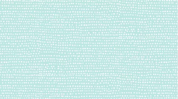 Dear Stella_Moonscape_Mint