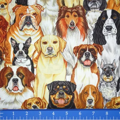 Dogs – 7943-Multi