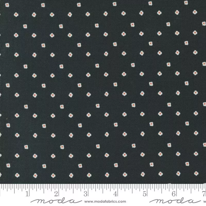 Ebony Tiny Imagine Flowers