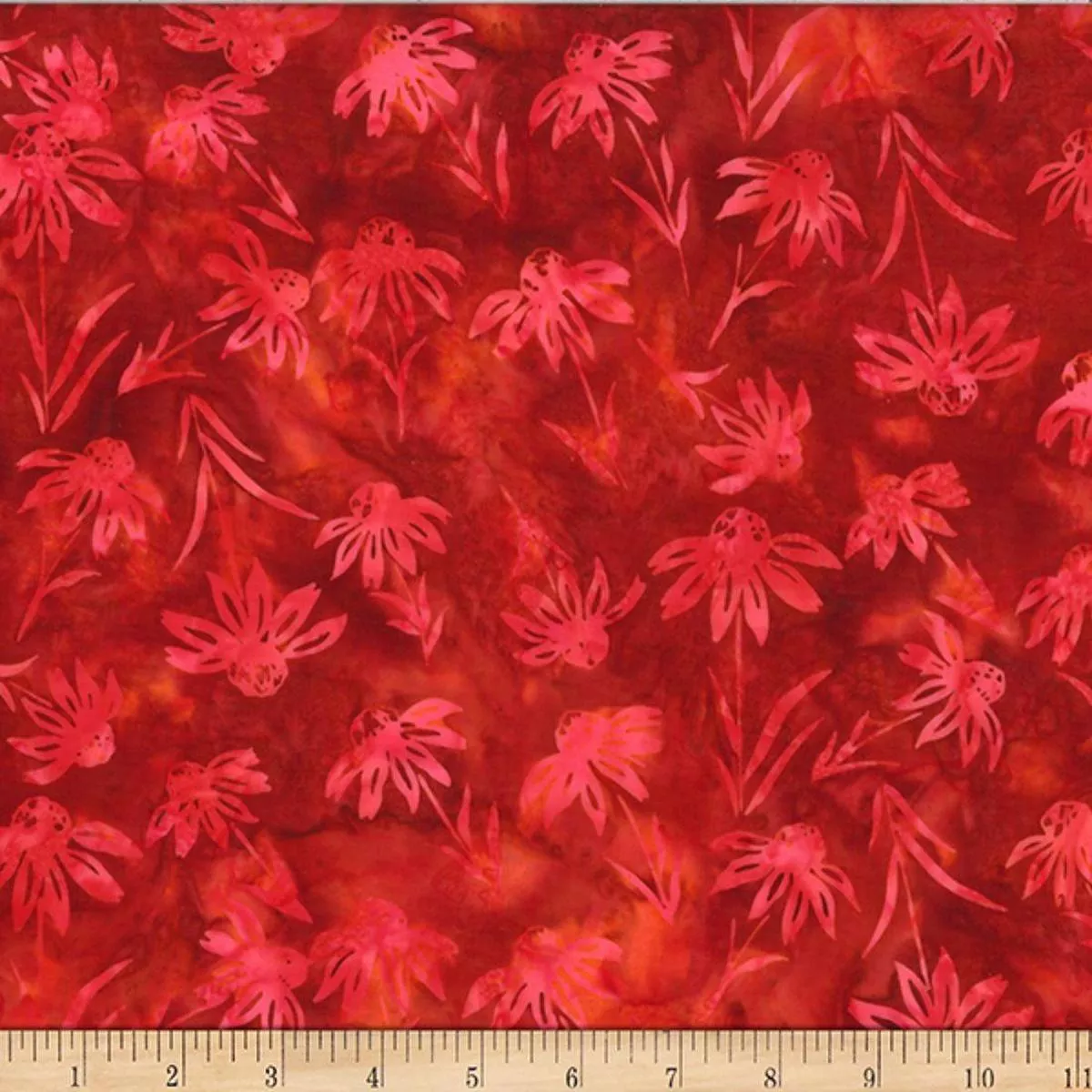 Echinacea Pomegranate by Hoffman Studio