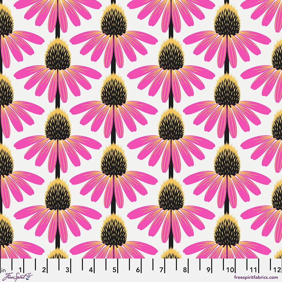 echinacea-true Echinacea - True