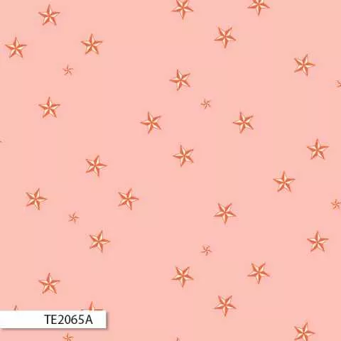Eureka – TE2065A