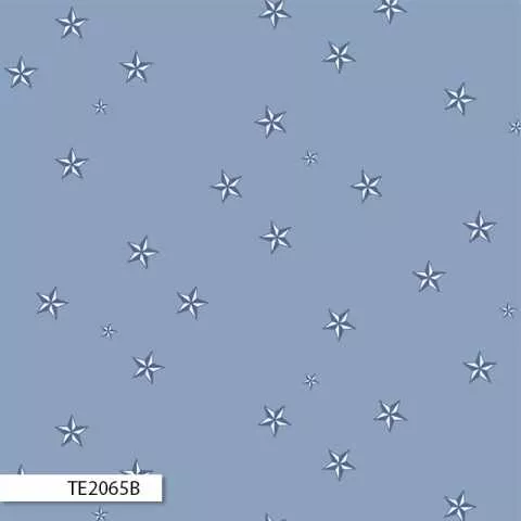 Eureka – TE2065B