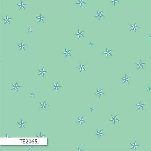 Eureka – TE2065J