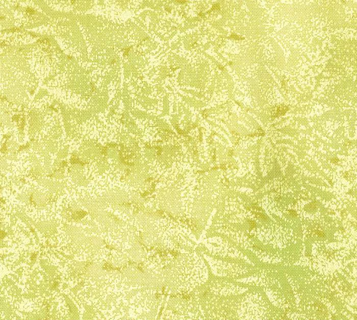 Fairy Frost– Leaf