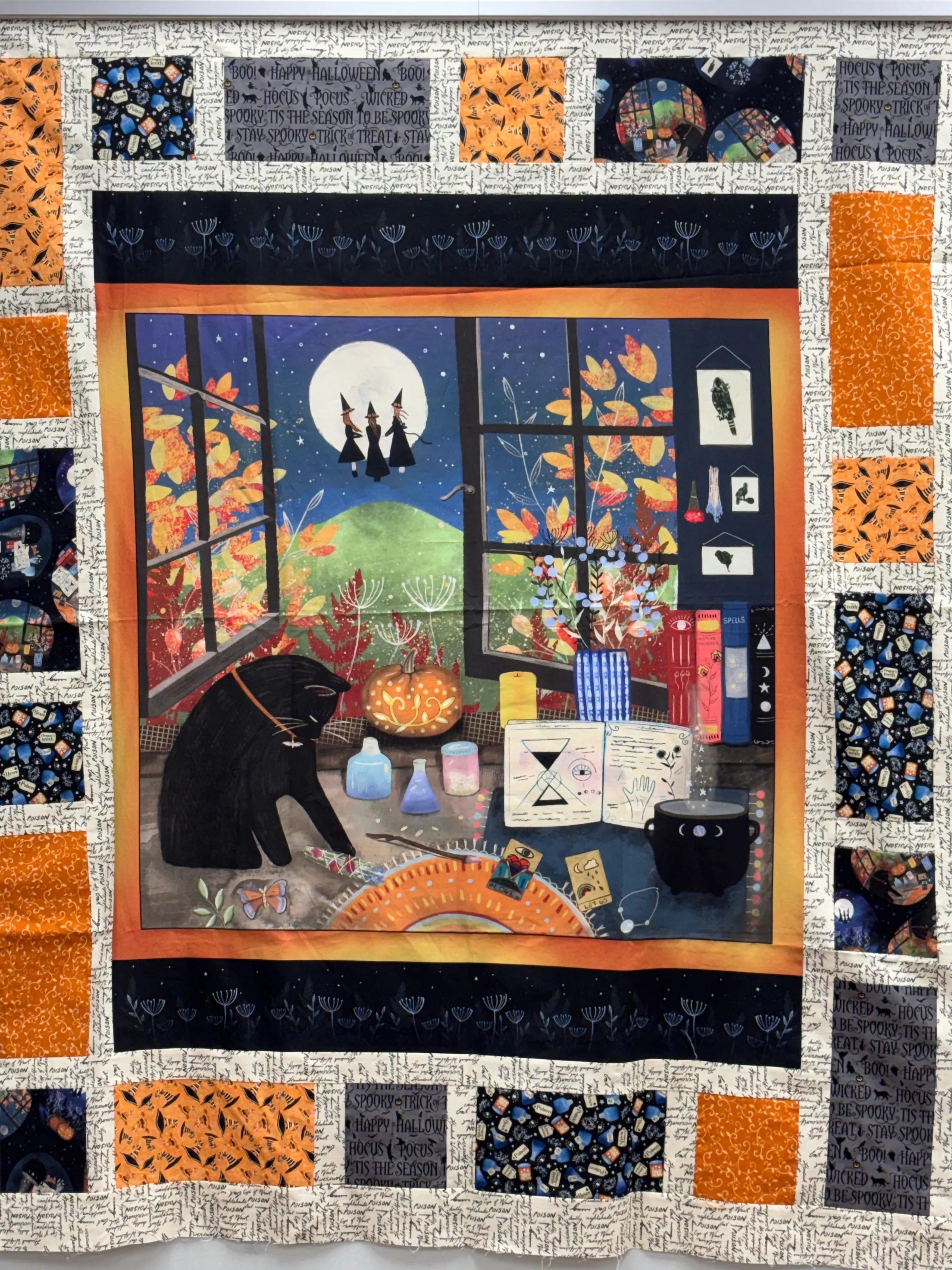 Fish & Chips Quilt Kit Featuring Practical Magic