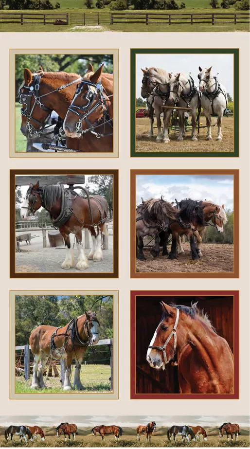 Heavy Horses Panel (A)
