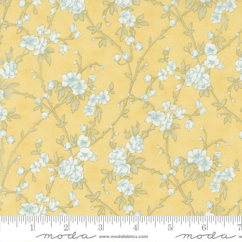 Honeybloom – 44343-13