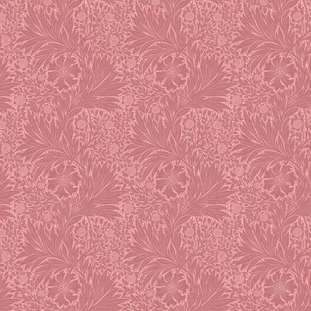 Marigold - Rose