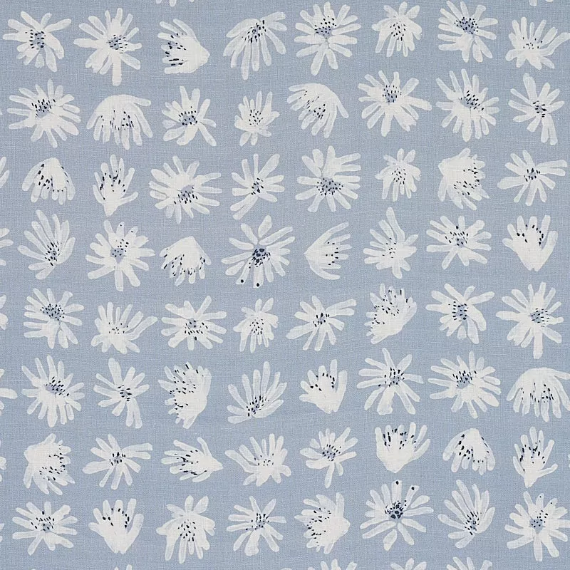 MEADOW ROCK BLUE