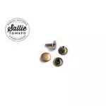 Medium Antique BrassRivet Set