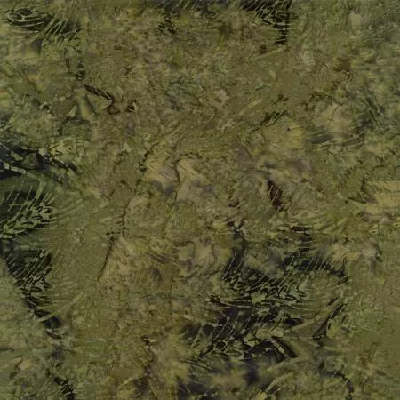 Moss Palm