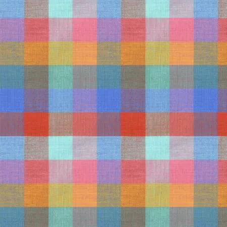 Multi Cheerful Check