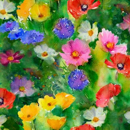 Multi Flower Meadow