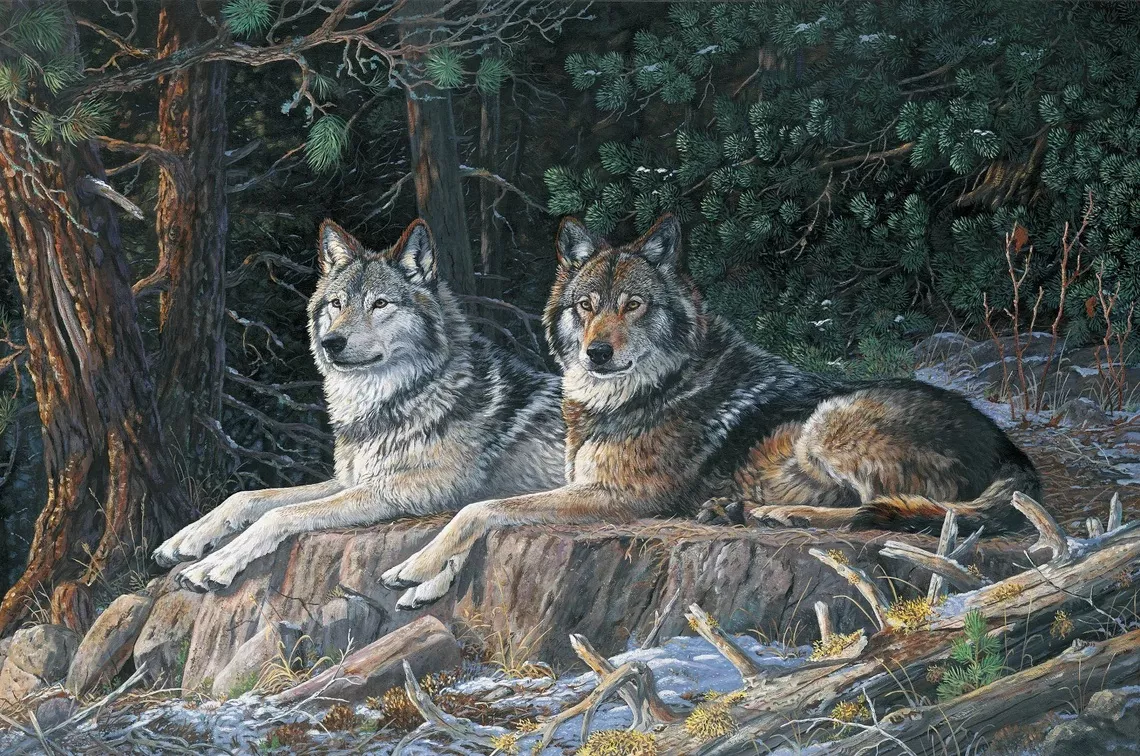 naturescapes-resting-point-panel Naturescapes Resting Point Panel