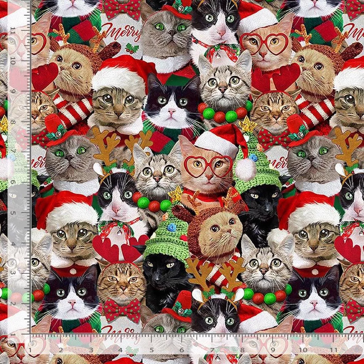 Packed Holiday Cats by TT Studio