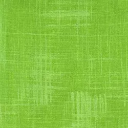 Painters Canvas – Celery