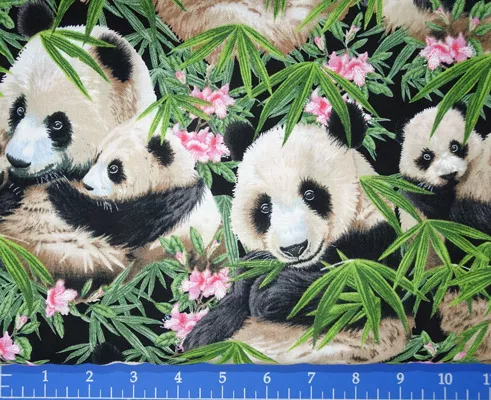 Panda Bears – 1230-Black