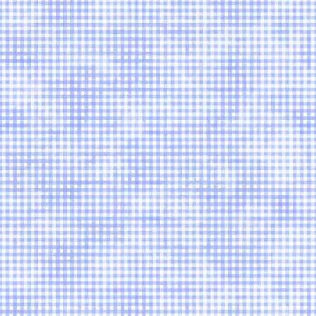 Peri Gingham 45" SORB04985C by P&B Textiles