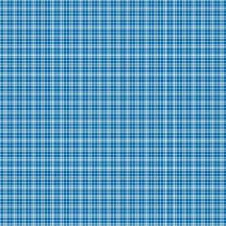Plaid Blue