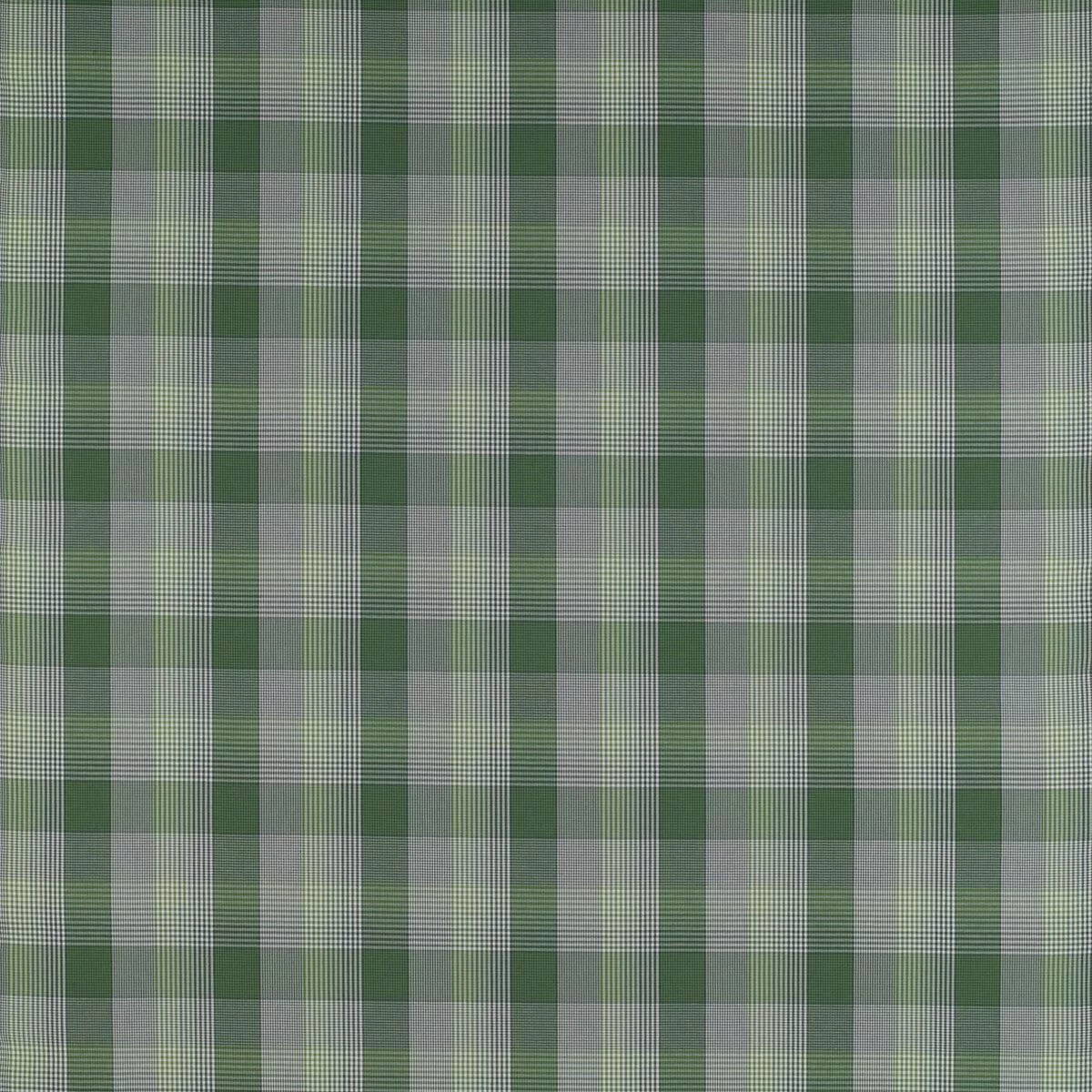 Preciados Verde Fabric