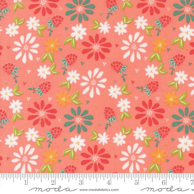 Raspberry Summer Carnation 37690 12