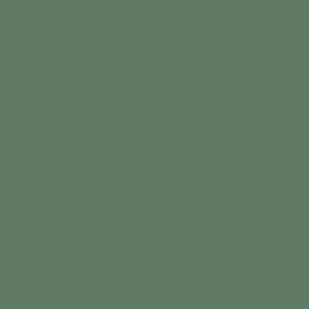 Riley Blake_Confetti Cotton Solids Chive