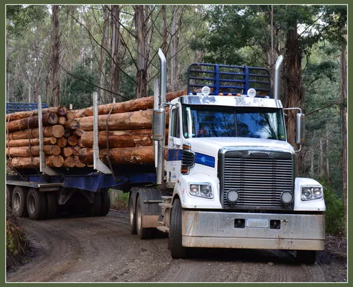 road-trains-panel-f Road Trains Panel (F)