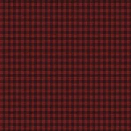 Rust Rustic Gingham CD1704-Rust by Timeless Treasures