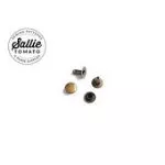 Small Antique Brass Rivet Set