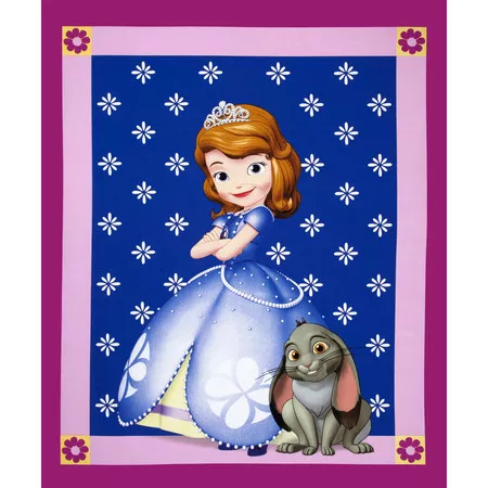 Sofia the First Panel