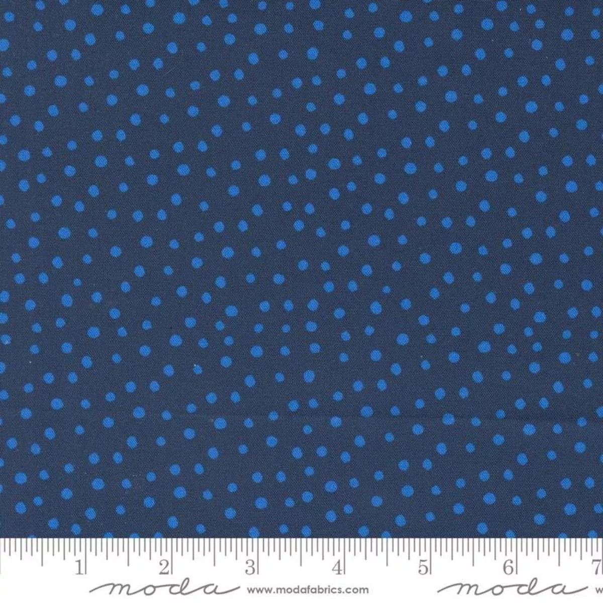 Spots Midnight by Amarilys Henderson