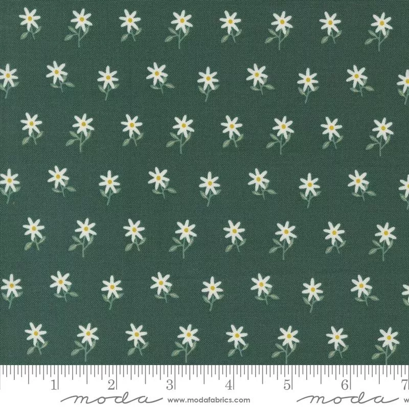 Spruce Daisy Imaginary Flowers